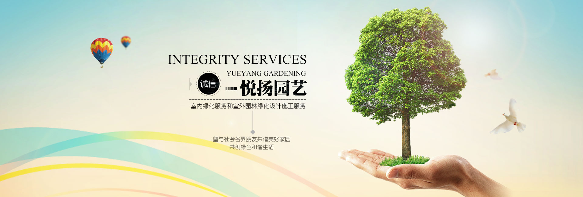 绿植盆栽批发价格多少