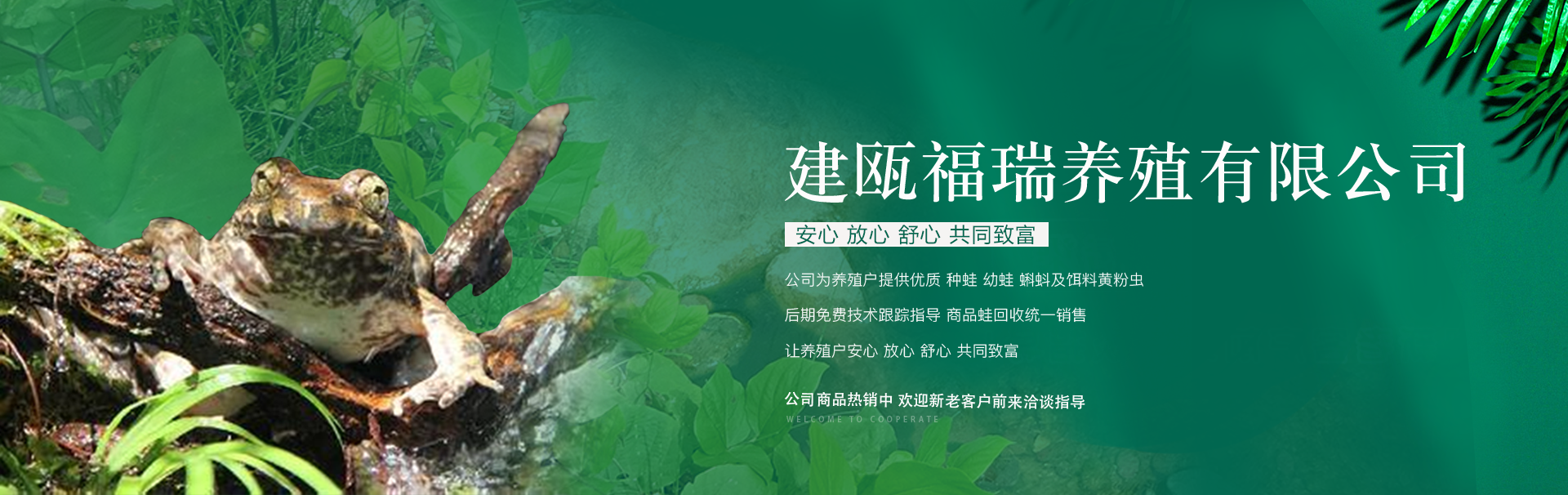 石蛙养殖证办理